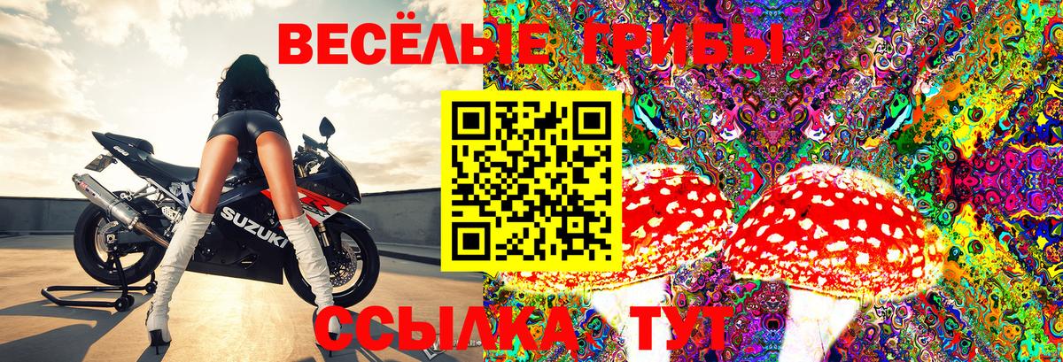 Галлюциногенные грибы Psilocybe  Галлюциногенные грибы мицелий  где купить наркотик  Вход с VPN  Кудымкар 