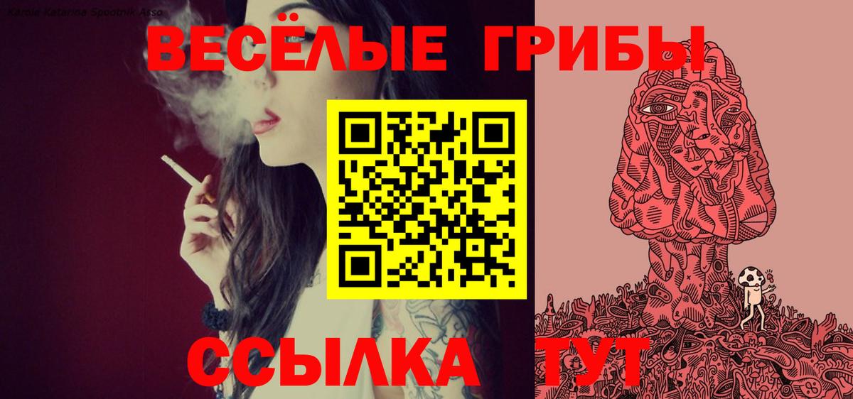 Галлюциногенные грибы Psilocybine cubensis Кудымкар