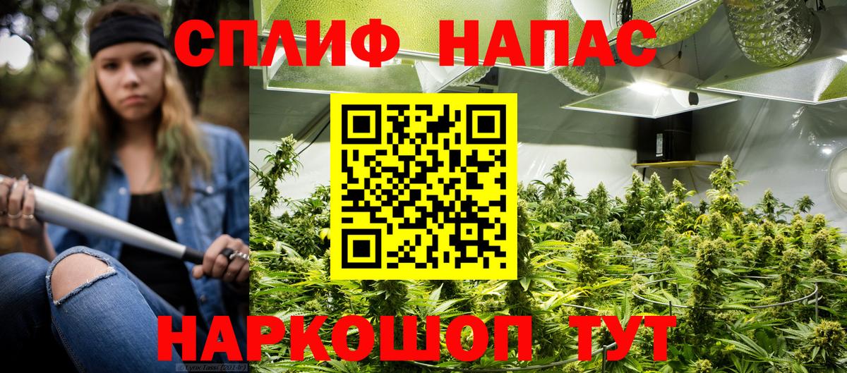 Марихуана Amnesia  Вход с VPN  Кудымкар  Шишки марихуана гибрид  Бошки Шишки AK-47 